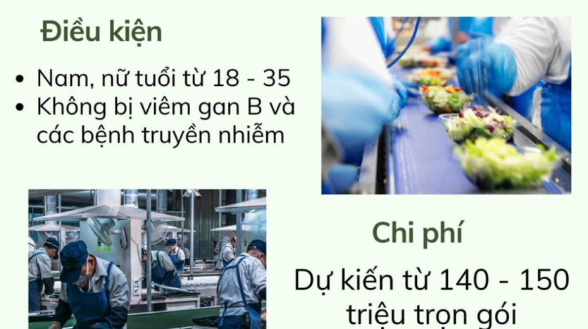 Tuyển dụng lao động Nhật Bản 2024 tại Quảng Bình